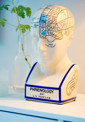 Phrenology Head, Dekoration / Sparbössa